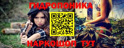 крисы Кудрово