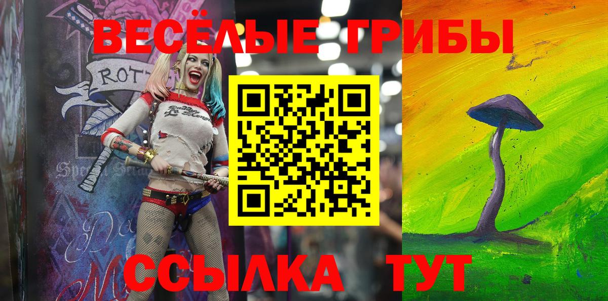 Светлоград  Галлюциногенные грибы Psilocybe  Вход с VPN  Галлюциногенные грибы Psilocybe 